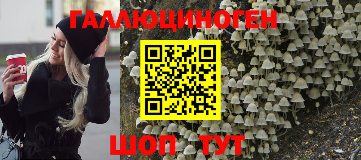 Ногинск  Галлюциногенные грибы ЛСД  Вход с VPN 