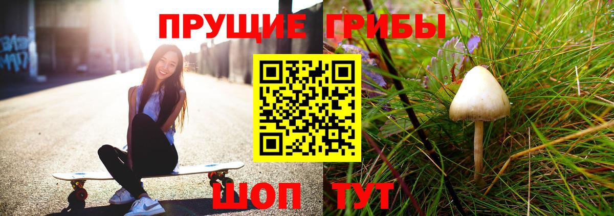 Псилоцибиновые грибы Magic Shrooms Ногинск